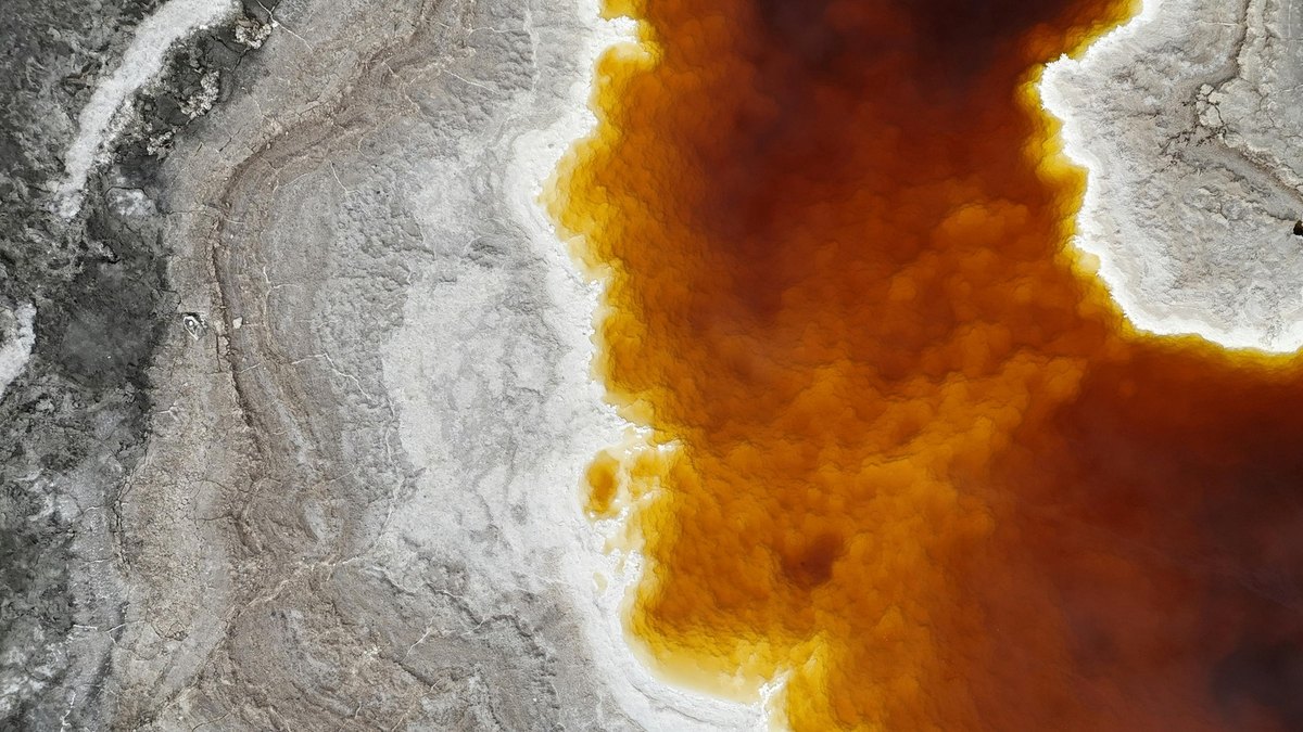 Sociálna poisťovňa: Úloha a právomoci v systéme