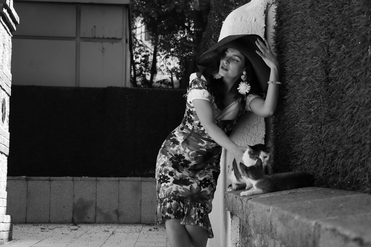 Spoločenský rozmer medzivojnovej tvorby