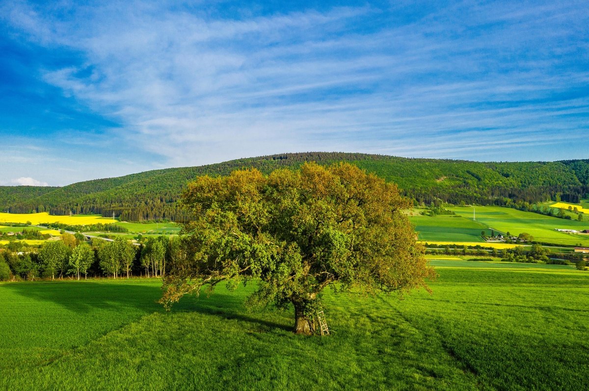Etiketa pri stolových hrách: Minimalizácia konfliktov a dôraz na zodpovedné správanie