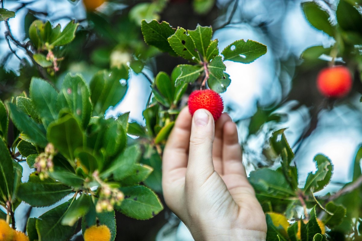 Cash-out refinancovanie: riziká a limity