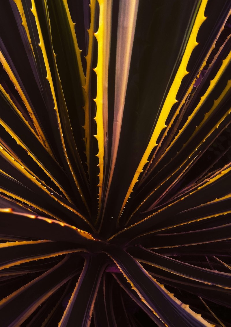 Poistné udalosti v cudzine: Postupy, potrebné doklady a preklady