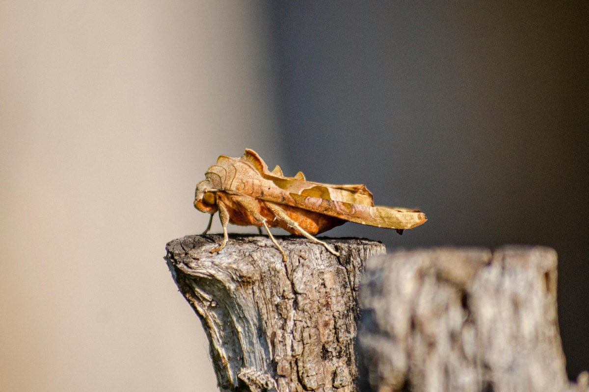 Podniky v SR a stratégia