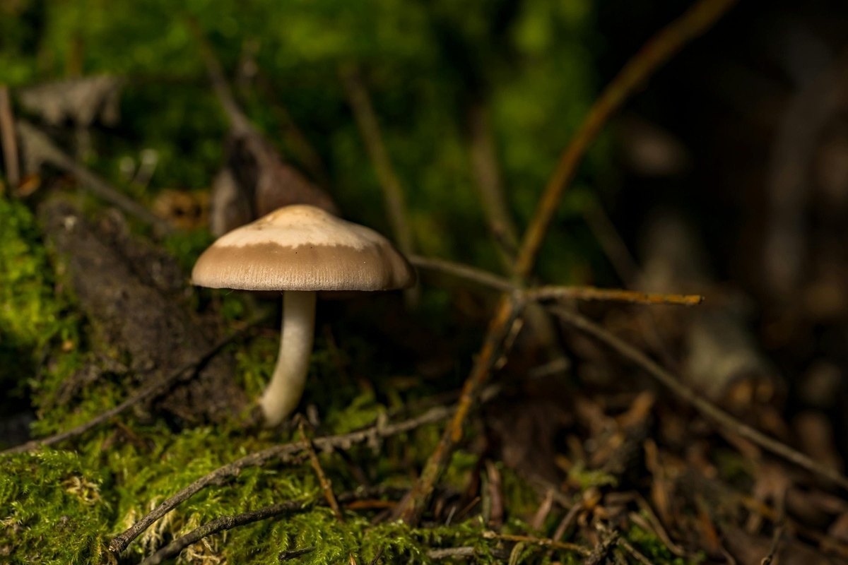 Nové koncepcie systémov manažmentu rizika