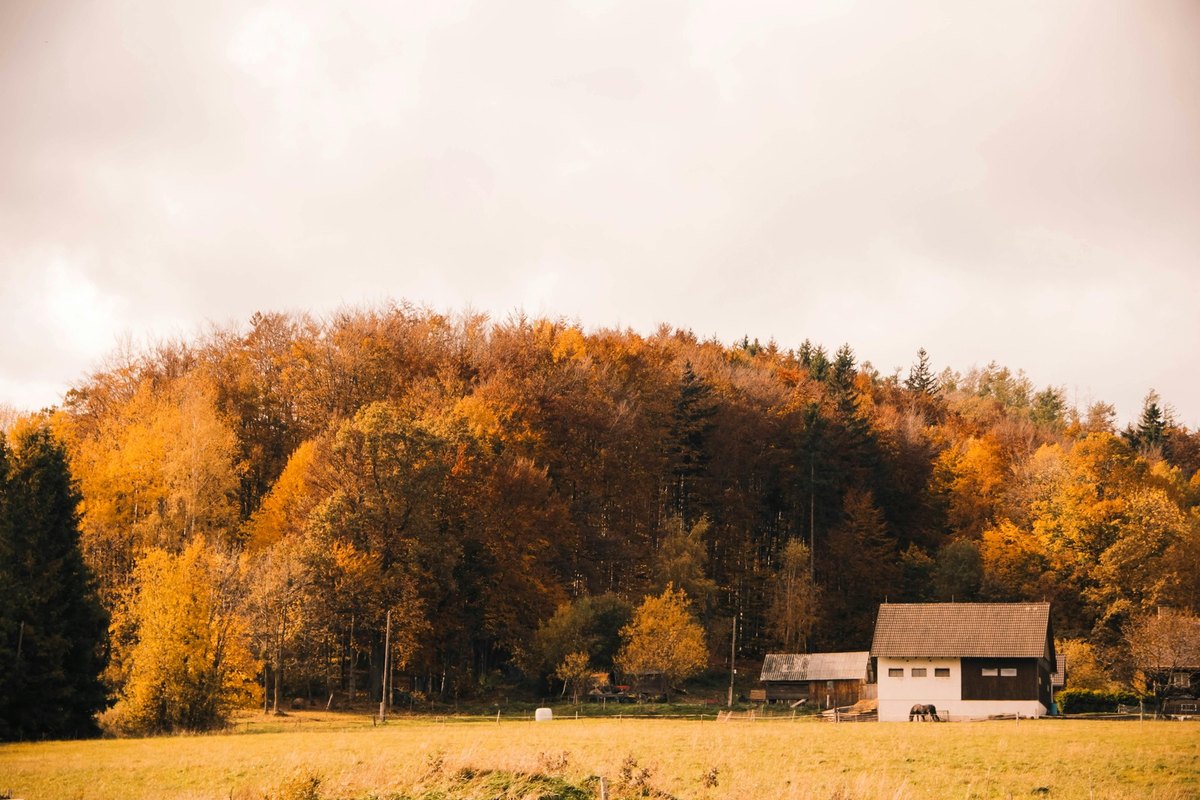Riziká digitálneho manažmentu a ochrana dát