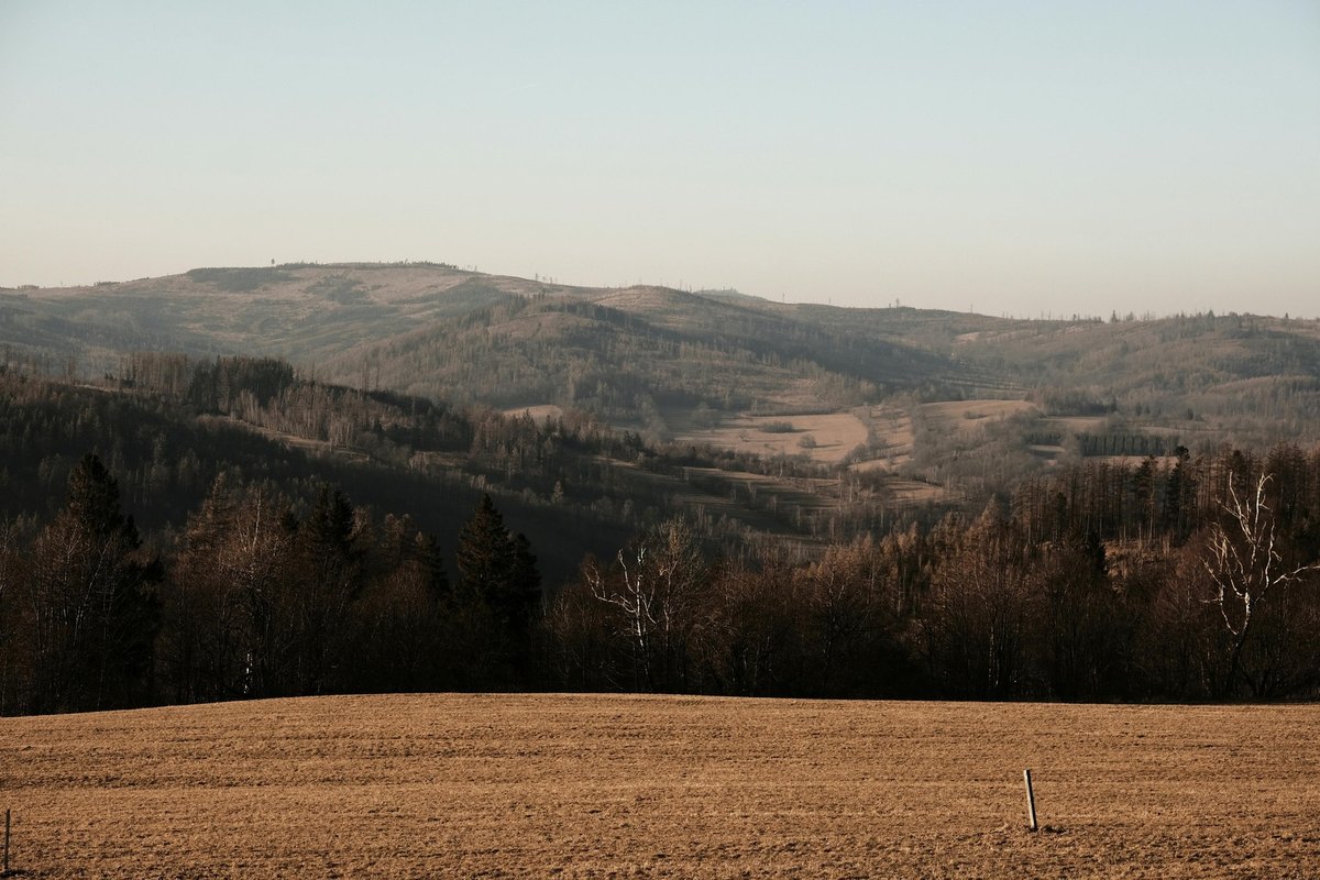 Právne minimum odmeňovania