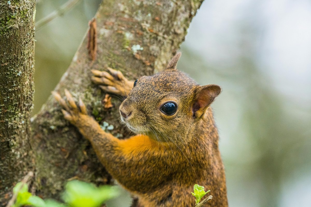 Motivácia pri tréningu doma: Sebakontrola a prekonávanie prekážok