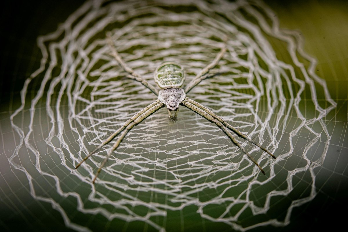 Príručka investora – chytrý pomocník pre Váš projekt
