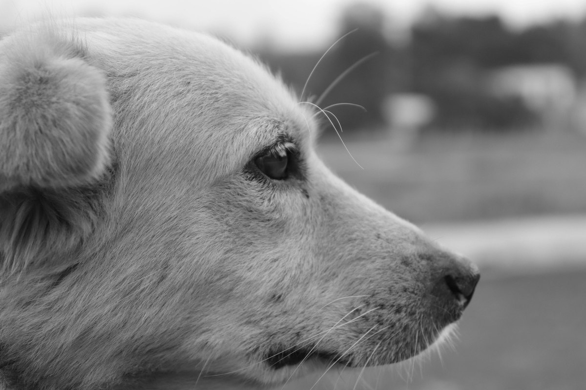 Ako spojiť obývačku s kanceláriou?