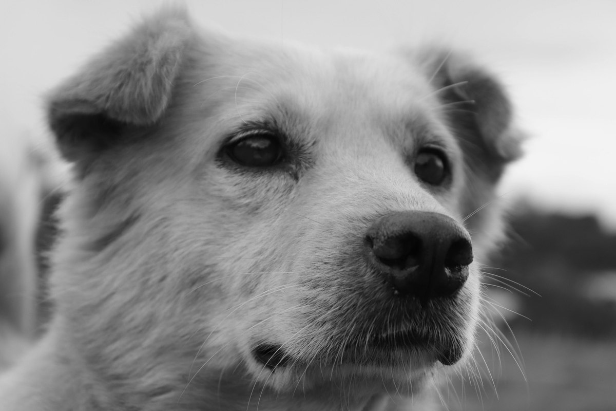 Komunikácia zmien miezd: narratív, FAQ, časovanie