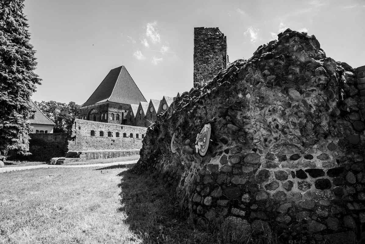 Diagnostika firemnej kultúry