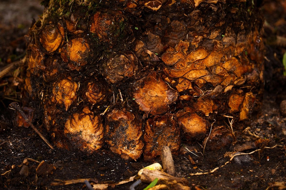 Firemné iniciatívy: Rozlíšenie zmysluplných environmentálnych projektov od PR kampaní