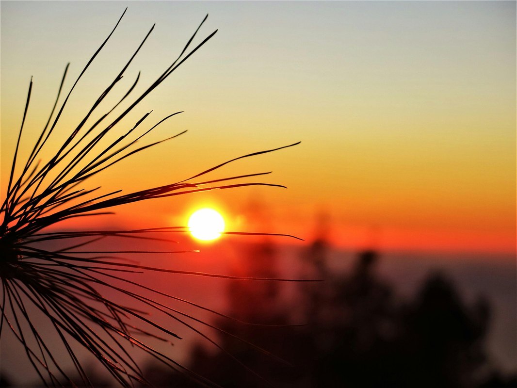 Štatistická analýza nehodovosti: Identifikácia primárnych príčin (rýchlosť, pozornosť, odstup)