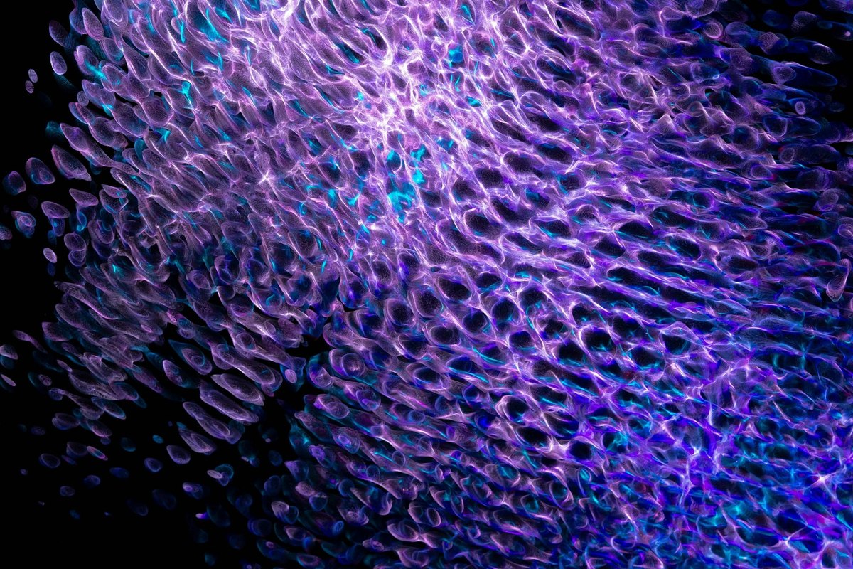 Moderní materiály stoupaček