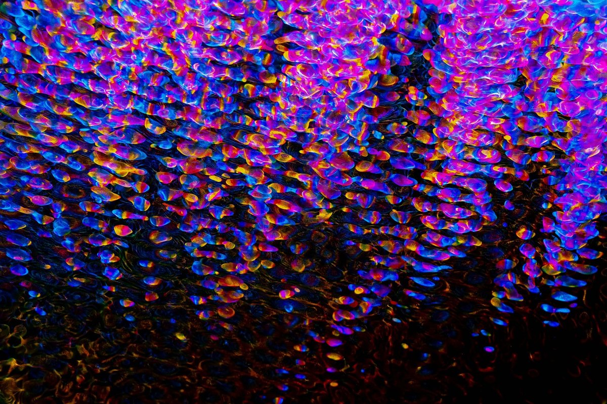 AI a behaviorálna analýza