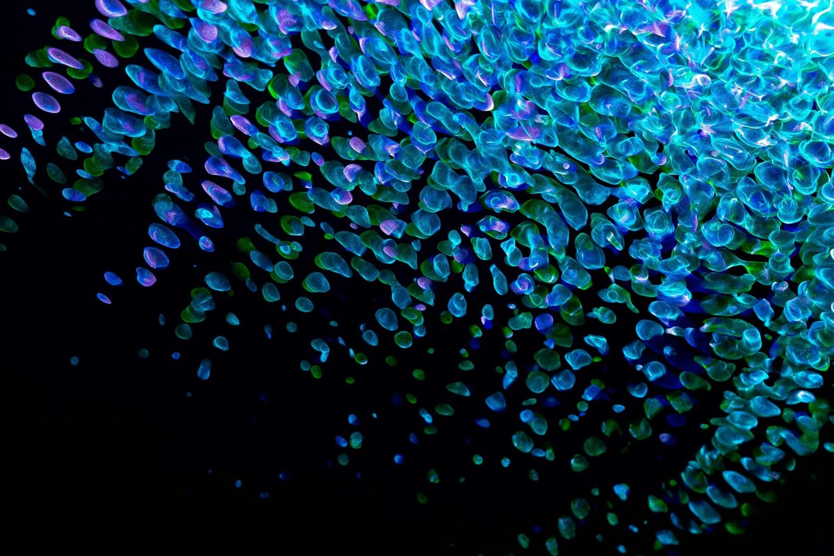 Keynesovstvo, John Maynard Keynes a Keynesove teórie