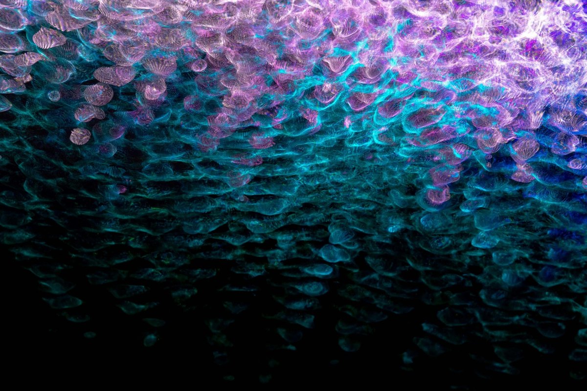 Distribúcia obsahu a dátové uzly (IXP): Optimalizácia a redundancia internetu