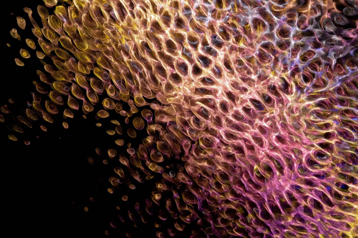 Transparentnosť odmeňovania: Interná spravodlivosť a transparentnosť