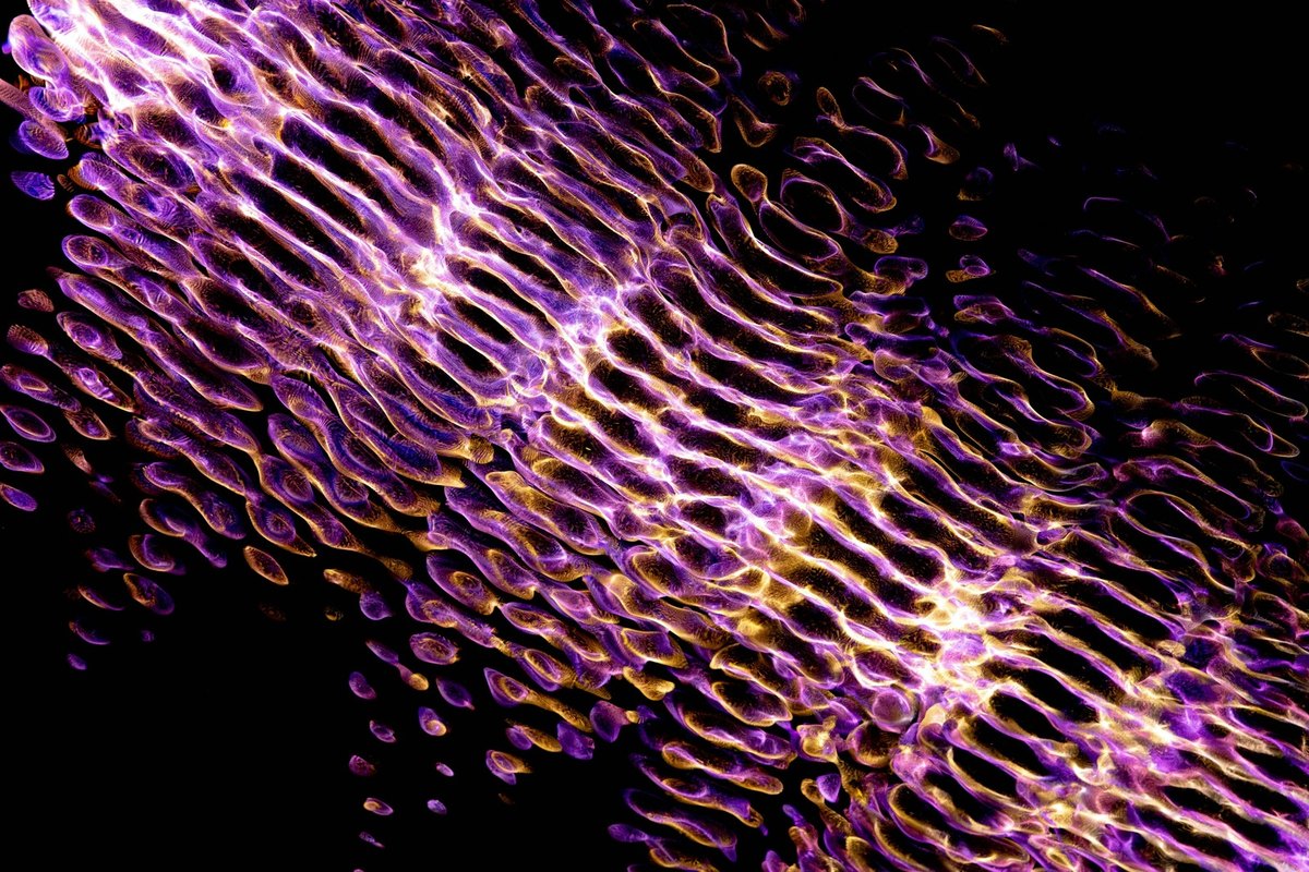 Odpor voči zmene: Príčiny odporu zamestnancov voči zmenám