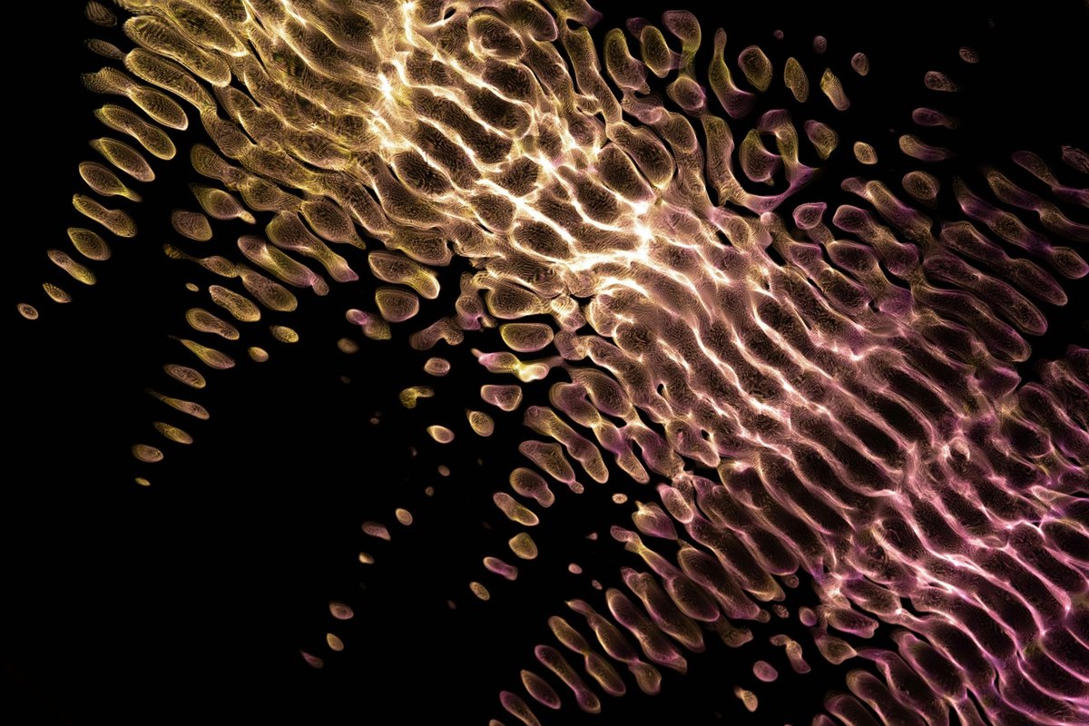 Účinky riadenia vo vise