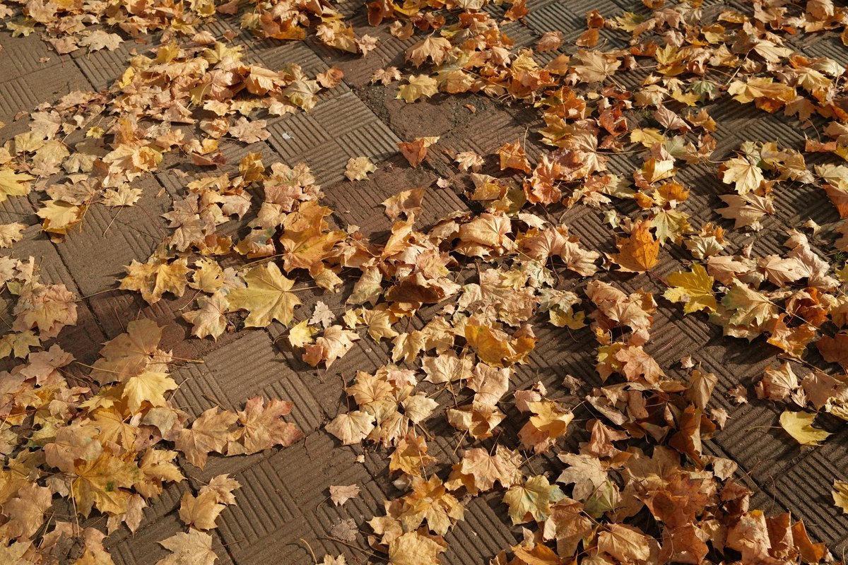 Výživa a pohyb pri chronickej únave