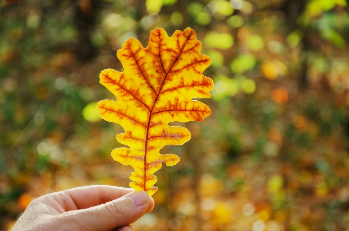 Pravidlá prepitného: Tipovanie/sprepitné – Transparentná a férová politika