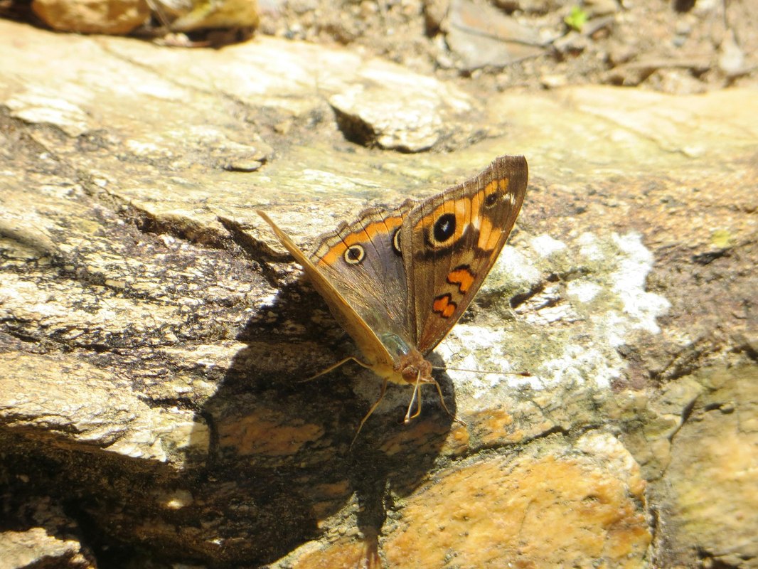 Exit interview: ako získať úprimnú spätnú väzbu