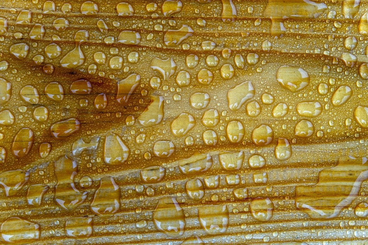 Celoživotné vzdelávanie: Ako si vybrať vhodné kurzy a školenia