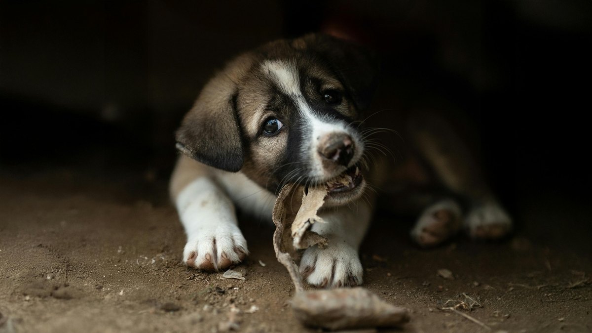 Veľké dáta vo vede: Objevy v medicíne, astronómii, klimatológii