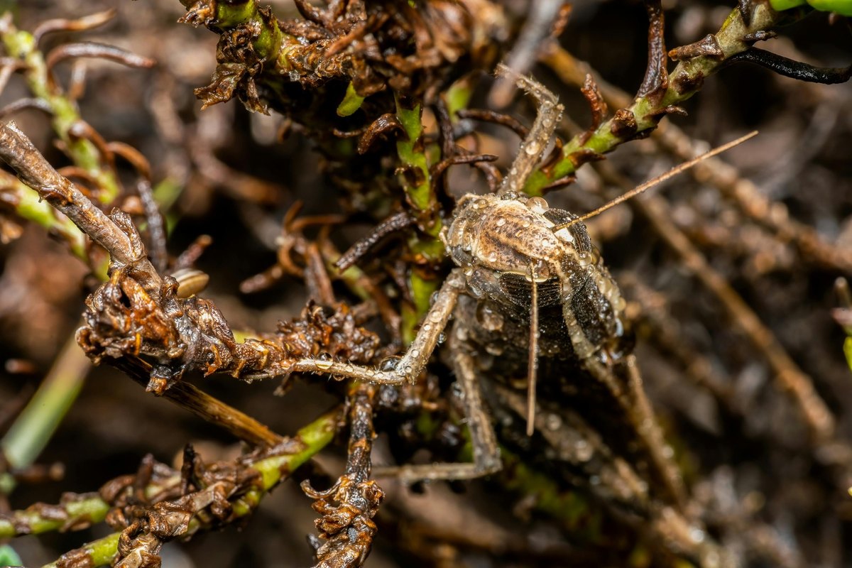 Správa a zpracování velkoobjemových dat