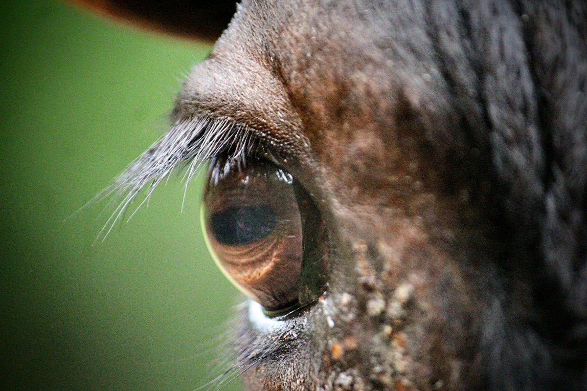 Verejné investície a fiškálna udržateľnosť: Hodnotenie projektov a dlhodobý dopad