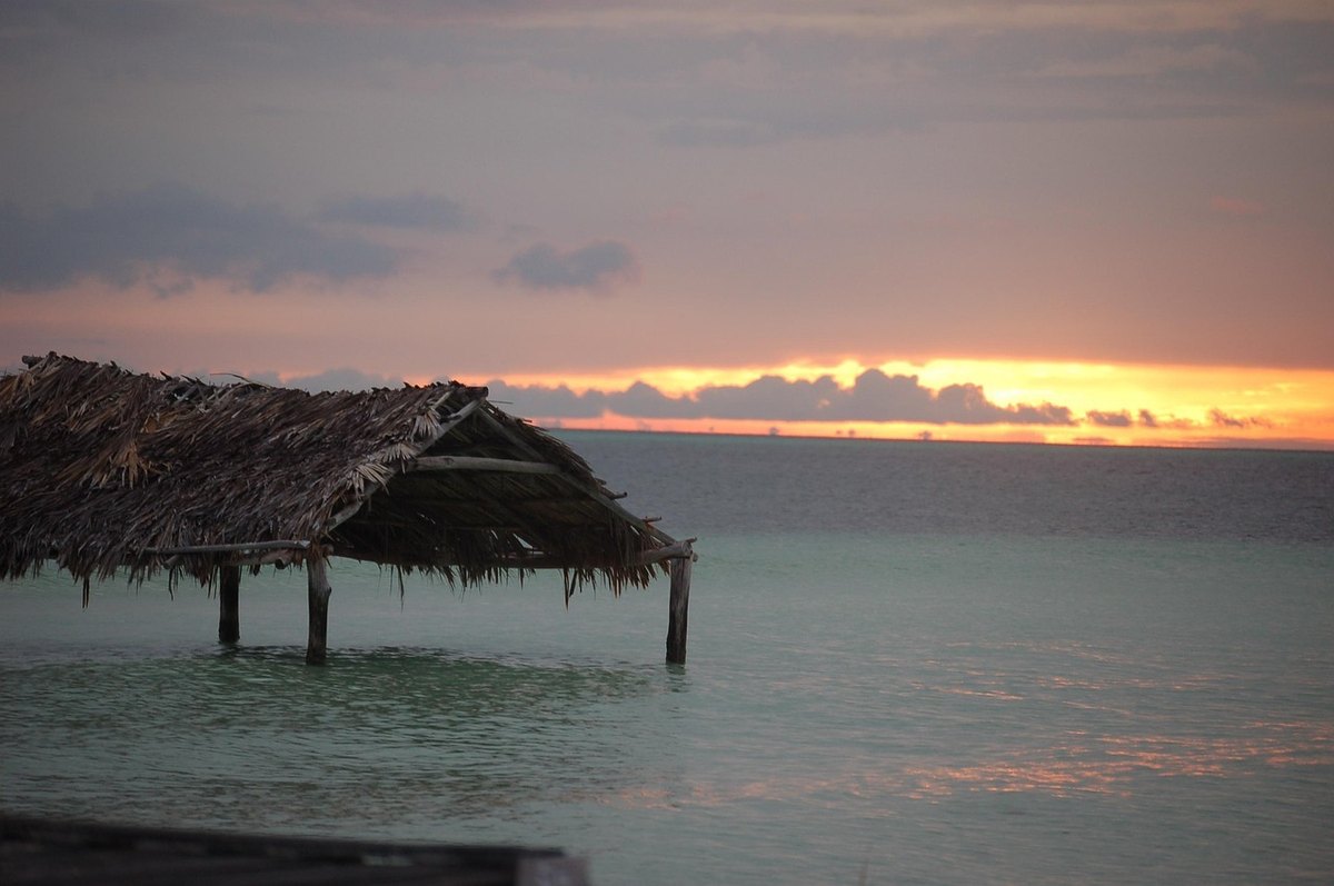 samoobslužný kontajnerový náves