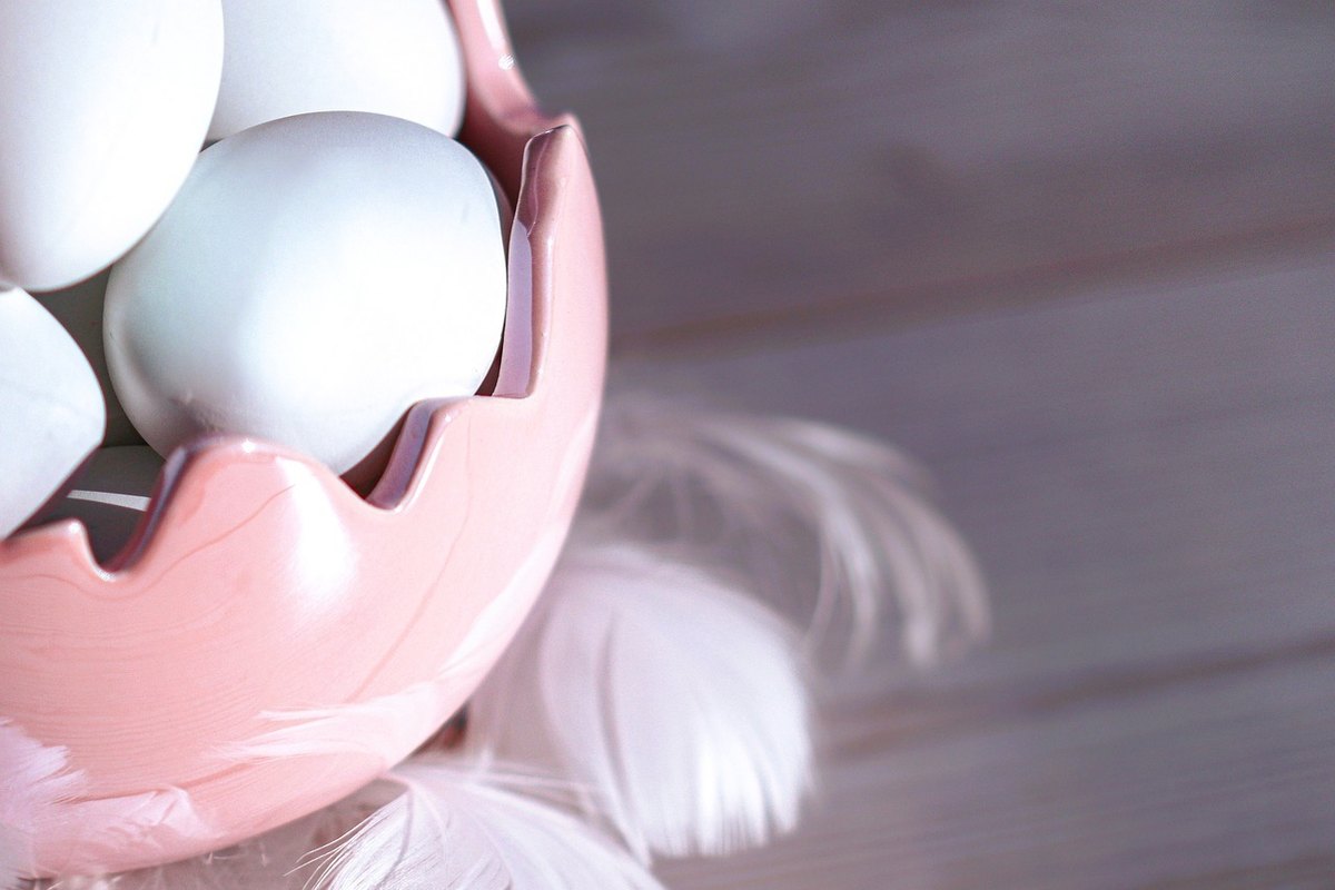 Štandardizácia: Štandardizácia výstupov a šablón pre projekty