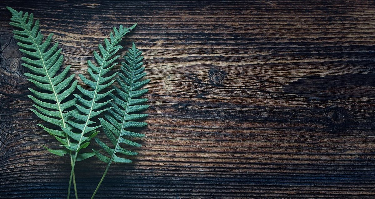 Electron – webové technologie na desktopu