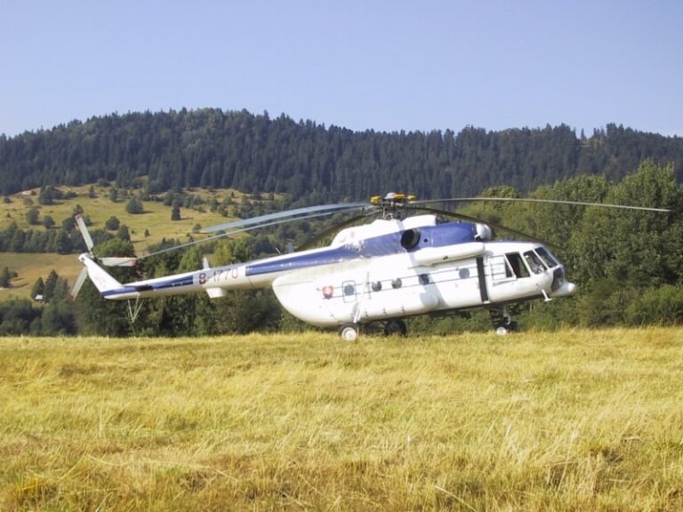 B2C (business-to-consumer)