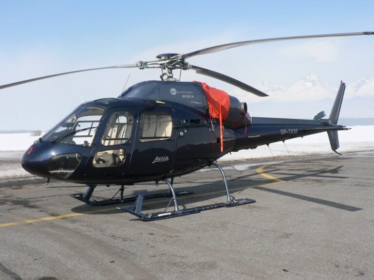 Bezpečná preprava zvierat: Zádržné systémy, prepravky a nutnosť pravidelných prestávok