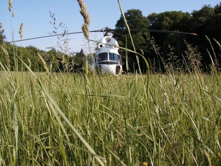 Aktívna a pasívna správa investícií: Komparácia stratégií