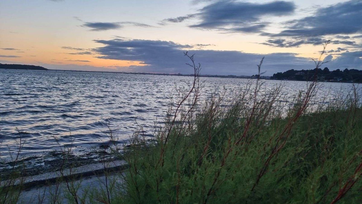 Úlohy SAMO, Intervenčnej poľnohospodárskej agentúry a Trhové poriadky