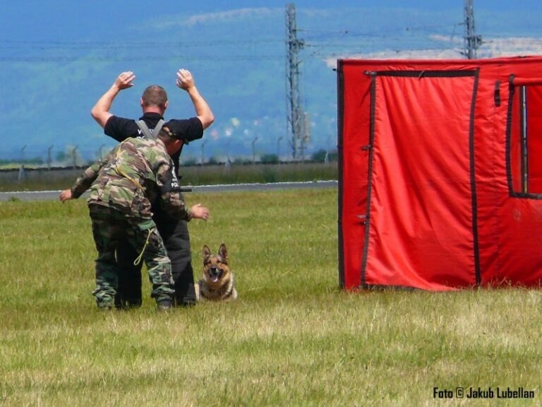 Demo plán: Šablóna, discovery otázky a definícia Next Step