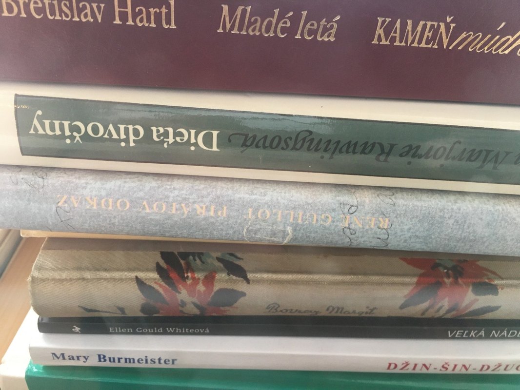 Zálohování a obnova systému Windows Server: Disaster Recovery