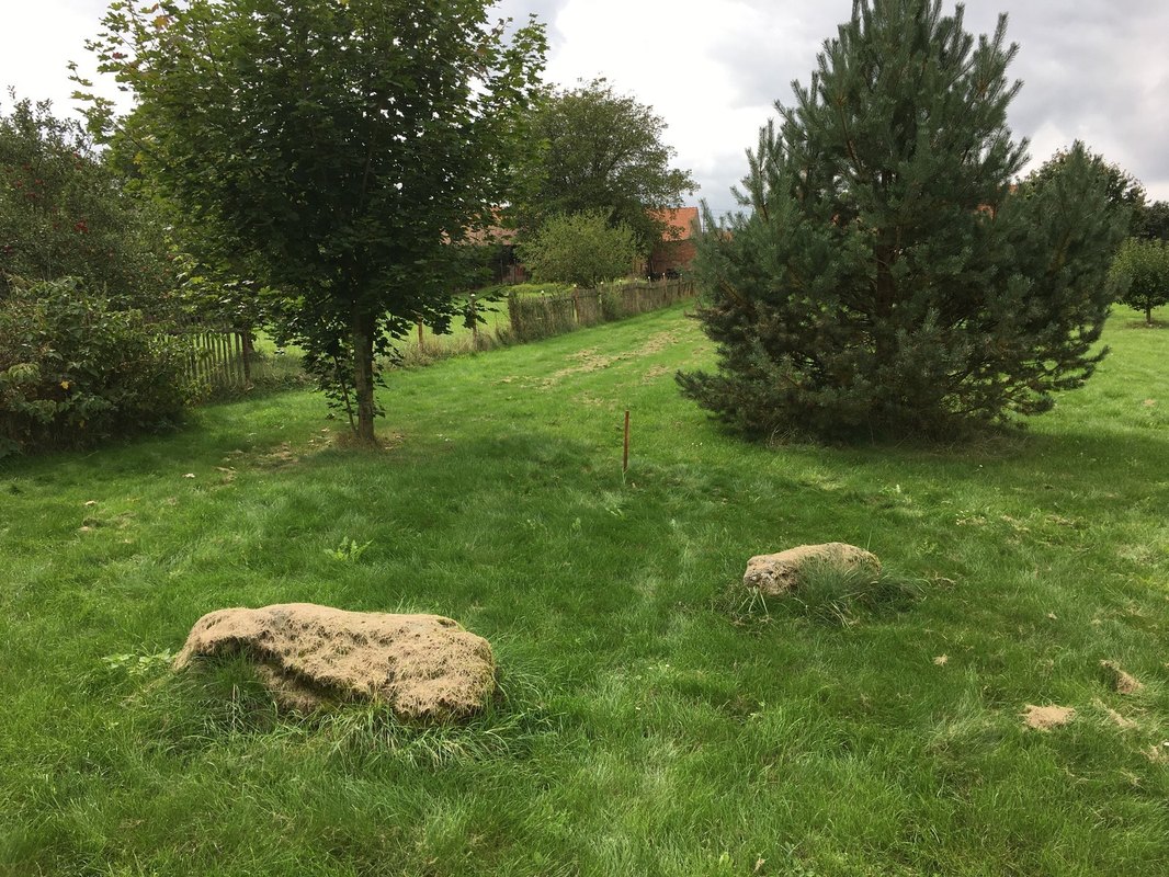 Předsíň / Chodba: Osvetlenie, úložné priestory a estetika