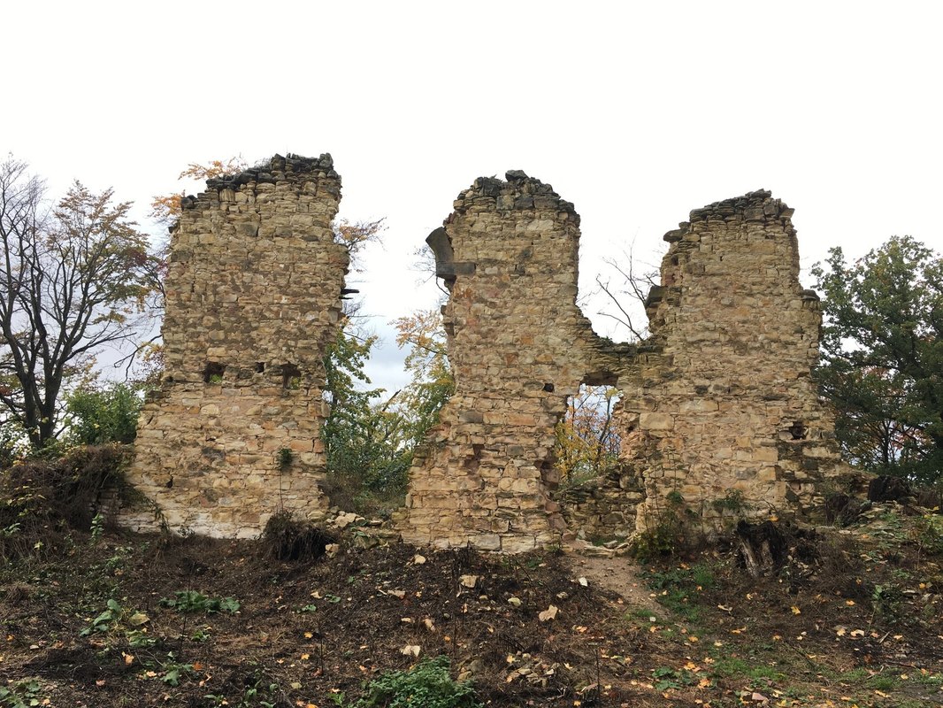 Významní gitaristi