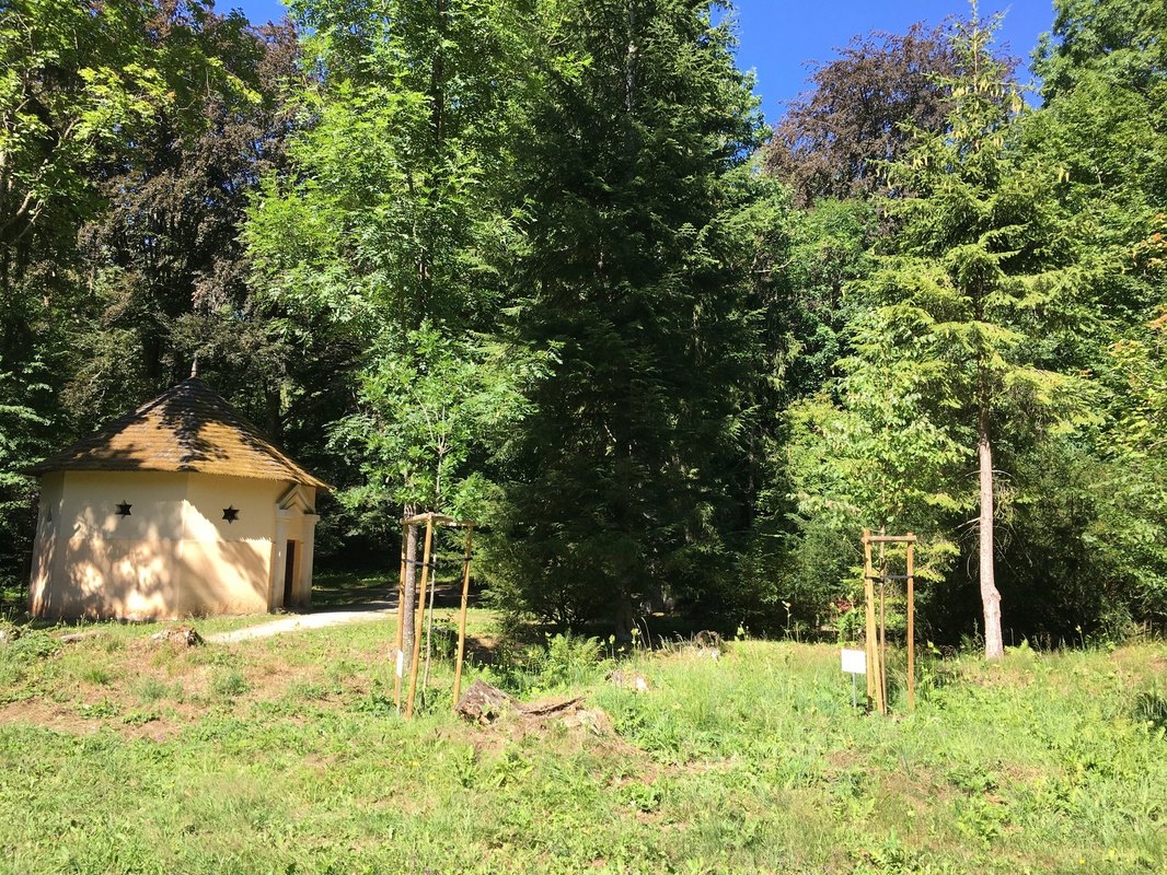 Darčeky pre ňu: Od romantických gest po sofistikovanú praktickosť