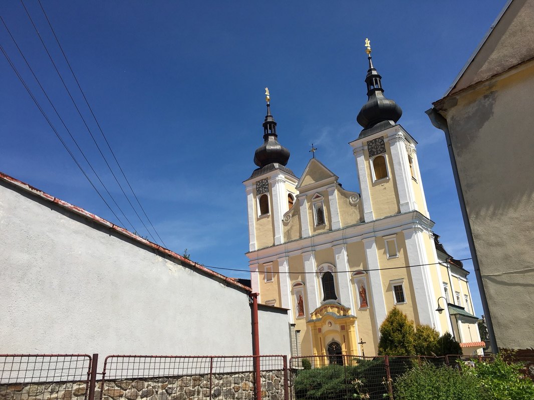 3D tlač v medicíne: Výroba implantátov a orgánov