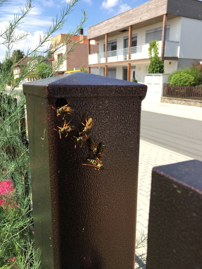 Geotagging obrázkov: Mýty vs. reálne dopady na lokálne SEO