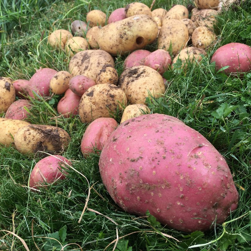 Technologické trendy v manažmente