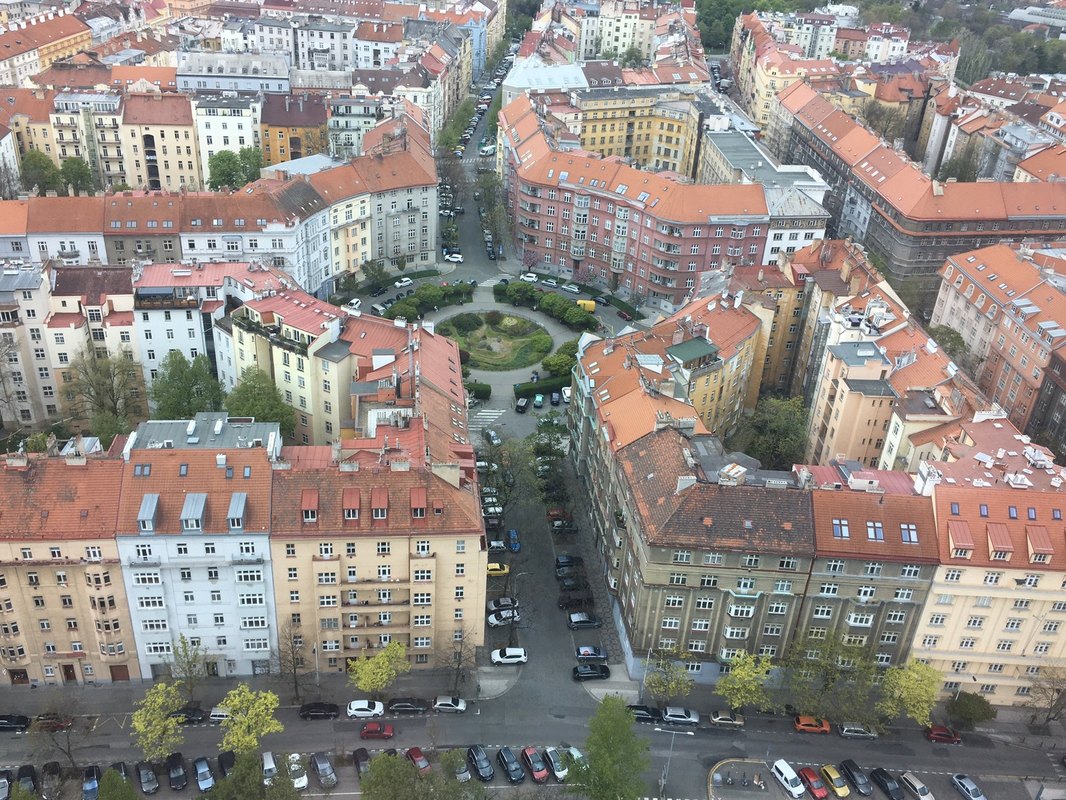 SaaS (Software as a Service)