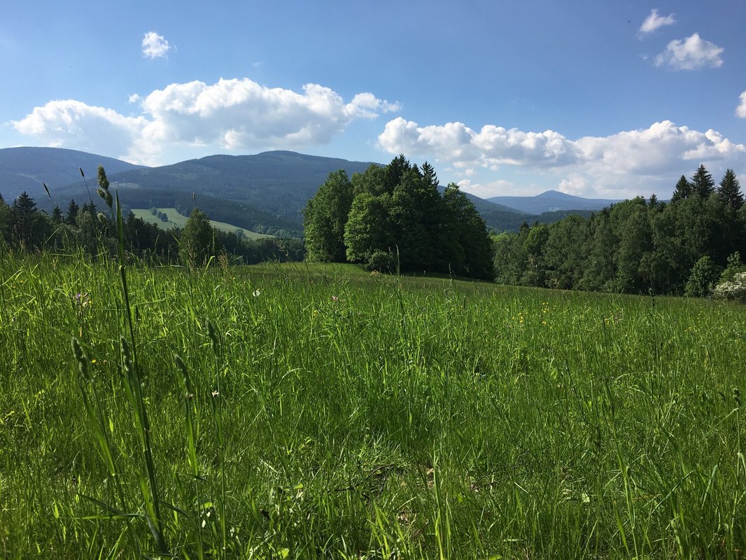 Hybridné IDS v mesh-sieťach: Konvergencia štatistických metód a hlbokého učenia