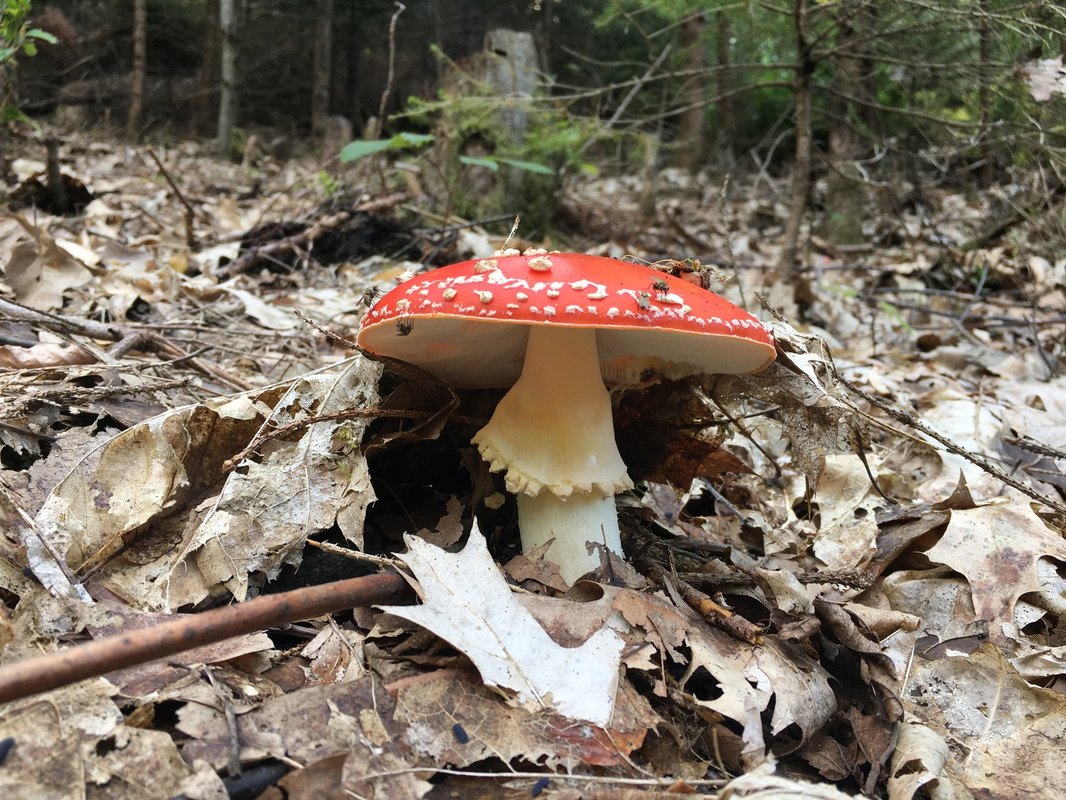 Bariérové vs. bezbariérové bývanie: cieľové skupiny a úpravy