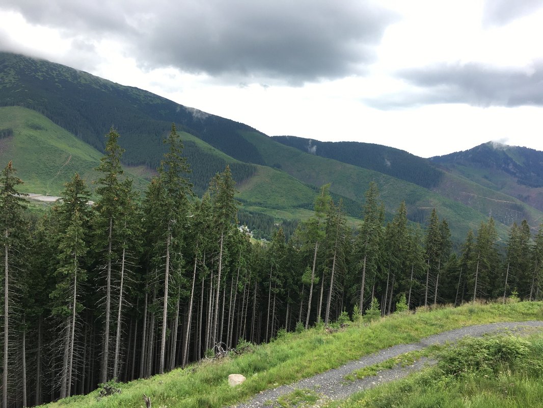 Interné prelinkovanie podľa entít: pravidlá a vzory anchorov