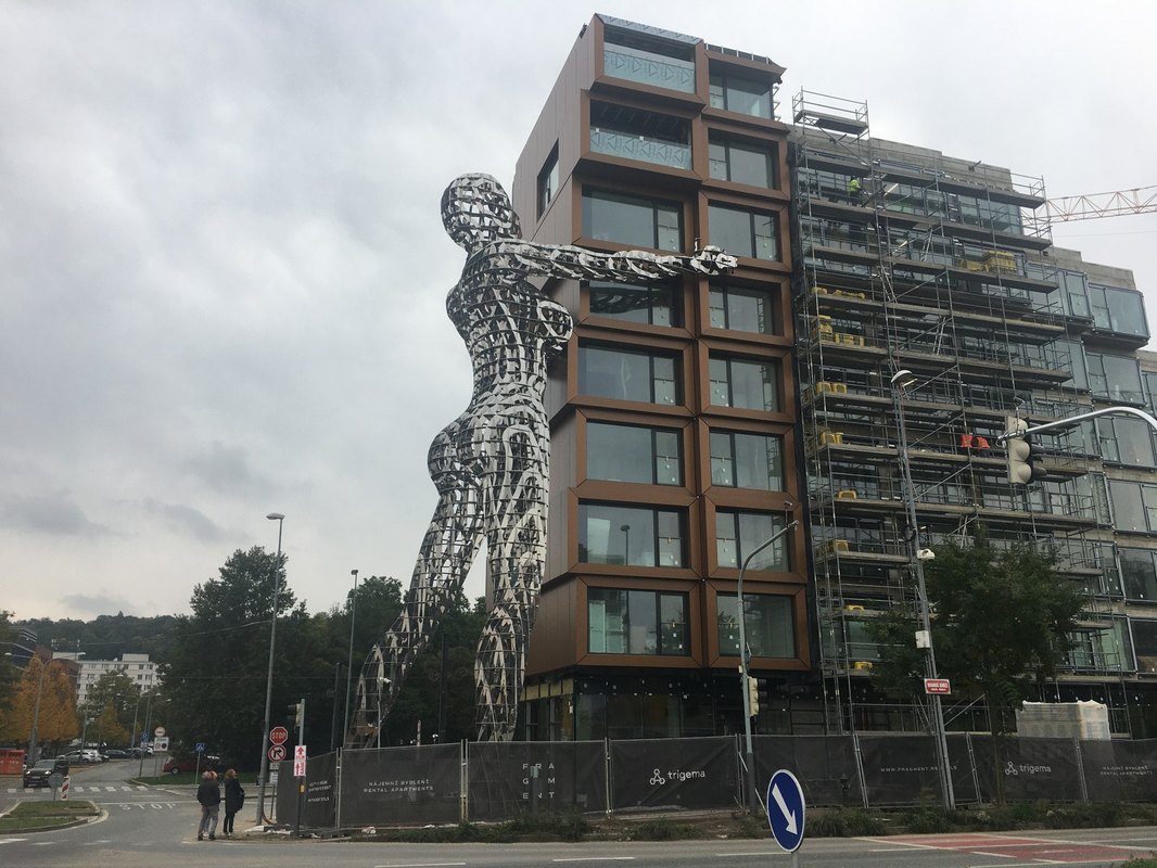 Dezinformácie a verejné zdravie: Pandemické dezinformácie a ich dopad